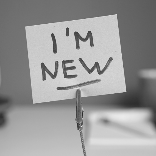 What's new with NetSuite | Anderson Frank